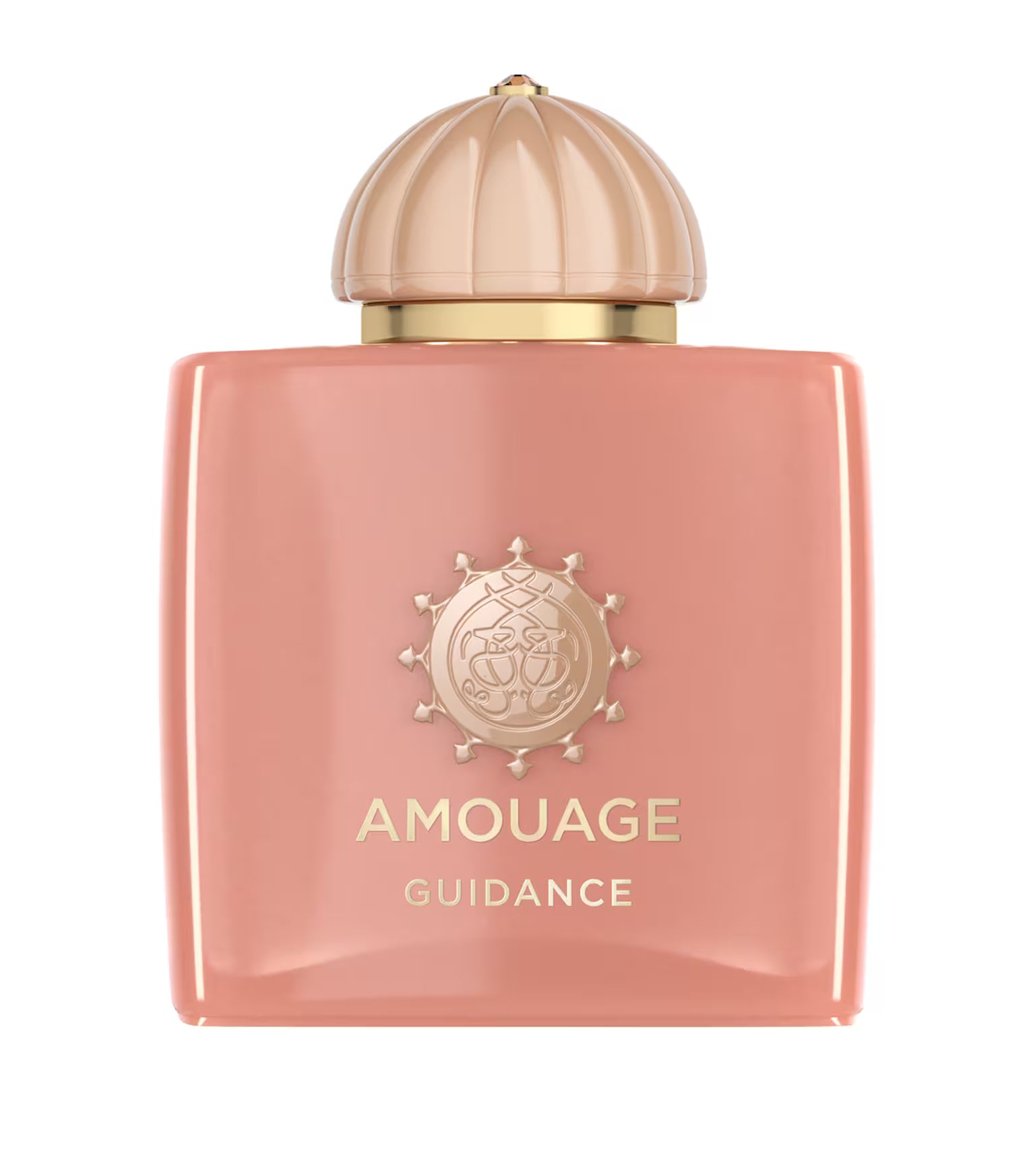 Amouage Guidance