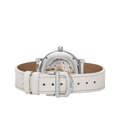 Montre en acier inoxydable IWC SCHAFFHAUSEN